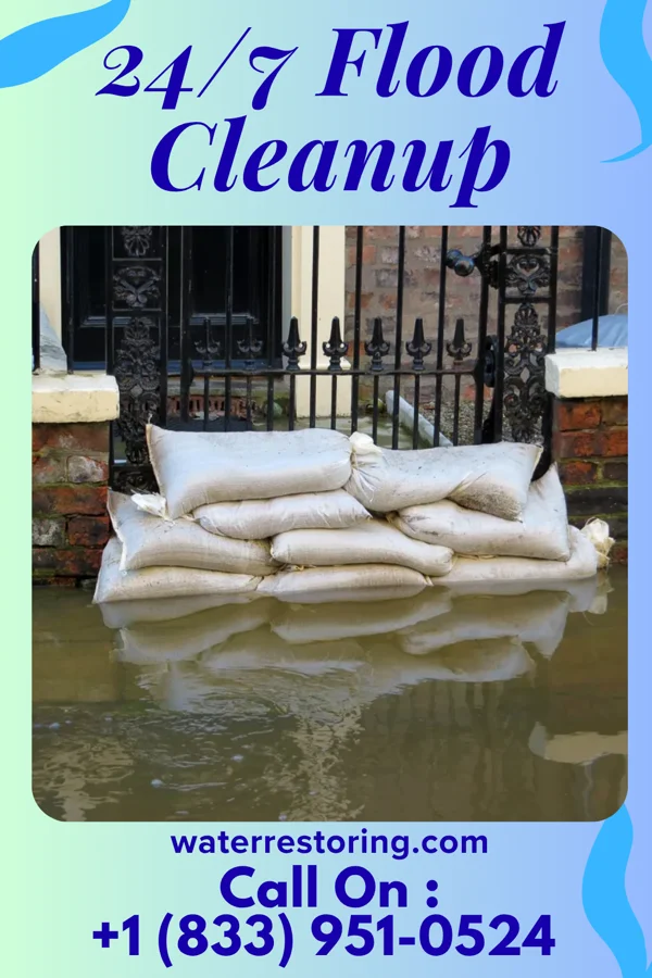 24/7 Flood Cleanup in Metcalfe, MS