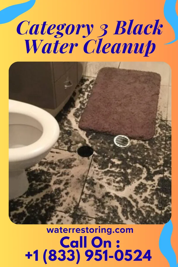 Category 3 Black Water Cleanup in Metcalfe, MS
