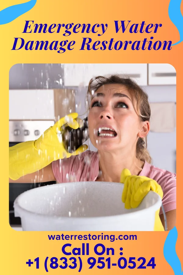 Emergency Water Damage Restoration in Metcalfe, MS