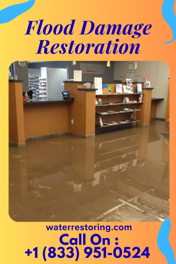 Flood Damage Restoration in Metcalfe, MS