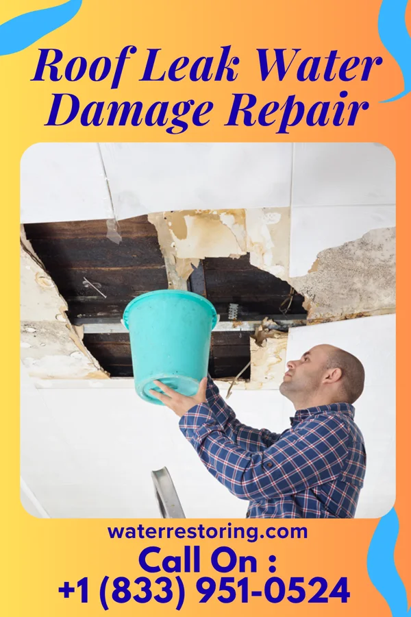 Roof Leak Water Damage Repair in Metcalfe, MS