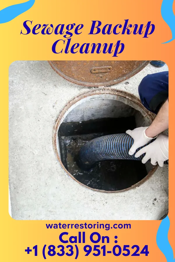 Sewage Backup Cleanup in Metcalfe, MS